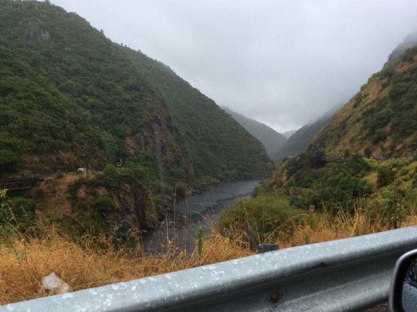 B537F95E 85D4 43FF A191 FF8FF8FC3017