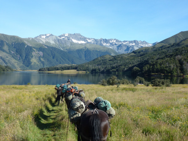 Canterbury horse trek