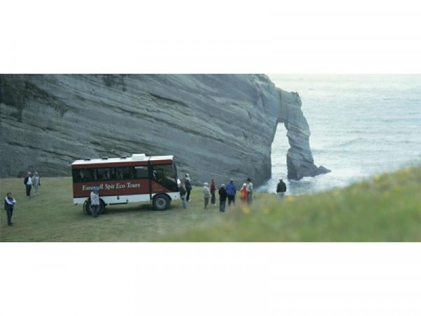 "" Farewell Spit Eco Tours2
