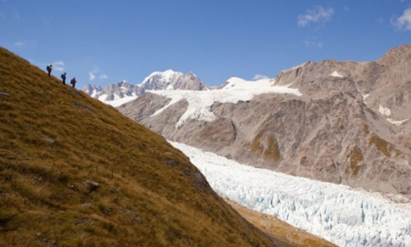 "" Fox Glacier