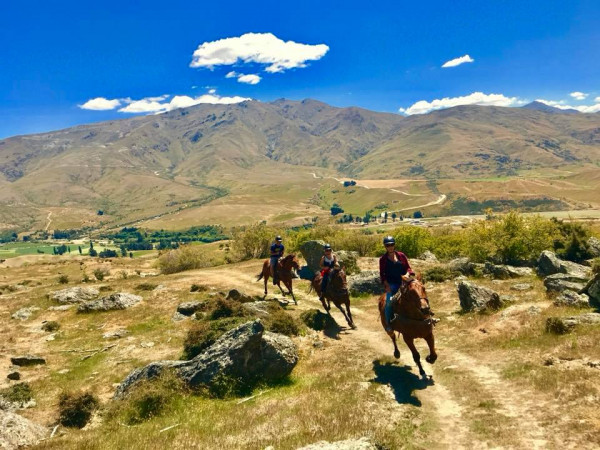 Horse riding at Cardrona