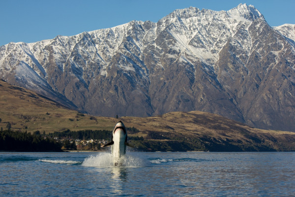 Lake Wakatipu by shark