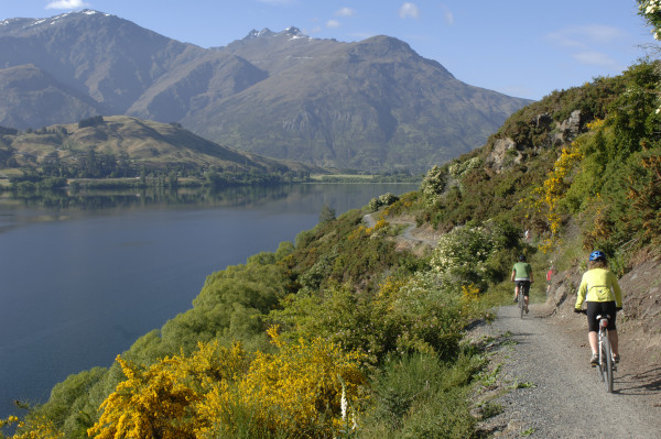 Queenstown Trail Cycling on Lake Hayes