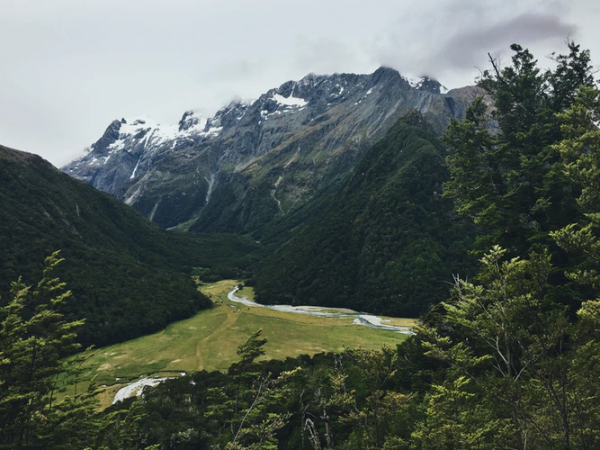 Queenstown Walks