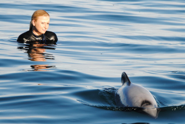 Swimming with dolphins