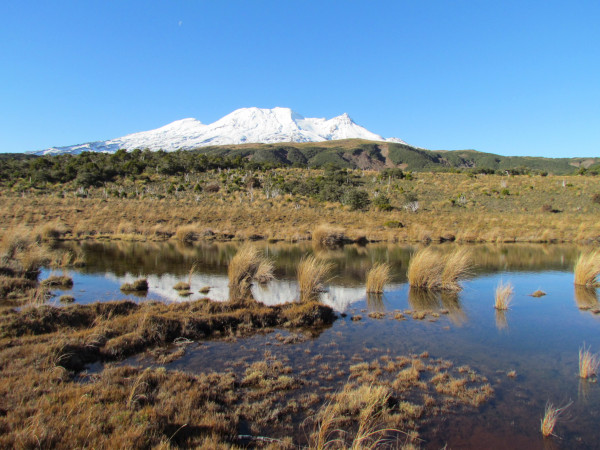 YHA Ohakune scenic 5 2013
