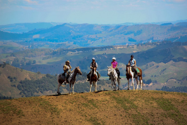 horse treks at River Valley Lodge