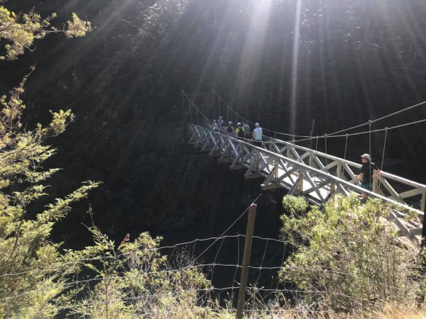 trail running swing bridge