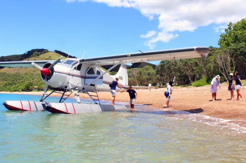 Auckland Sea planes