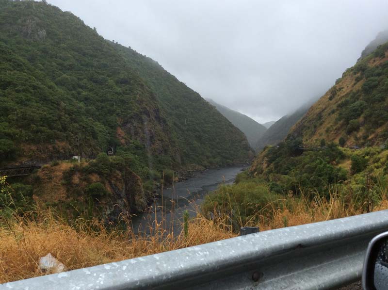 B537F95E 85D4 43FF A191 FF8FF8FC3017