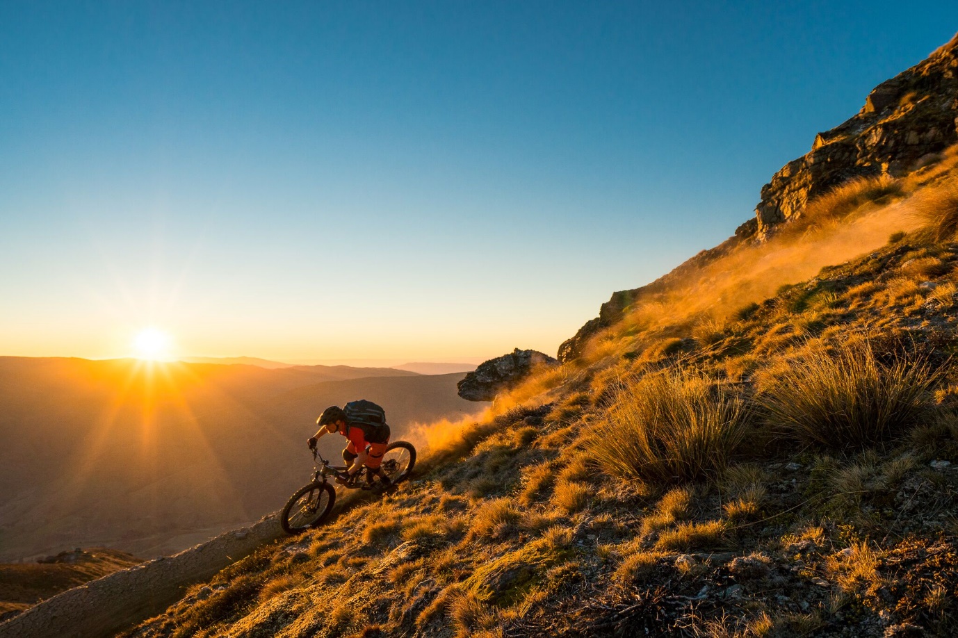 Cardrona Summer Mountain Biking