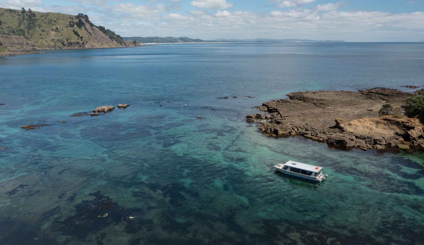 Glass Bottom Boat NZ