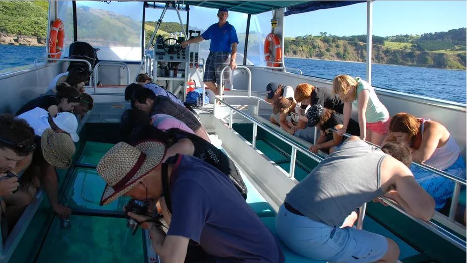 Goat Island Marine Reserve