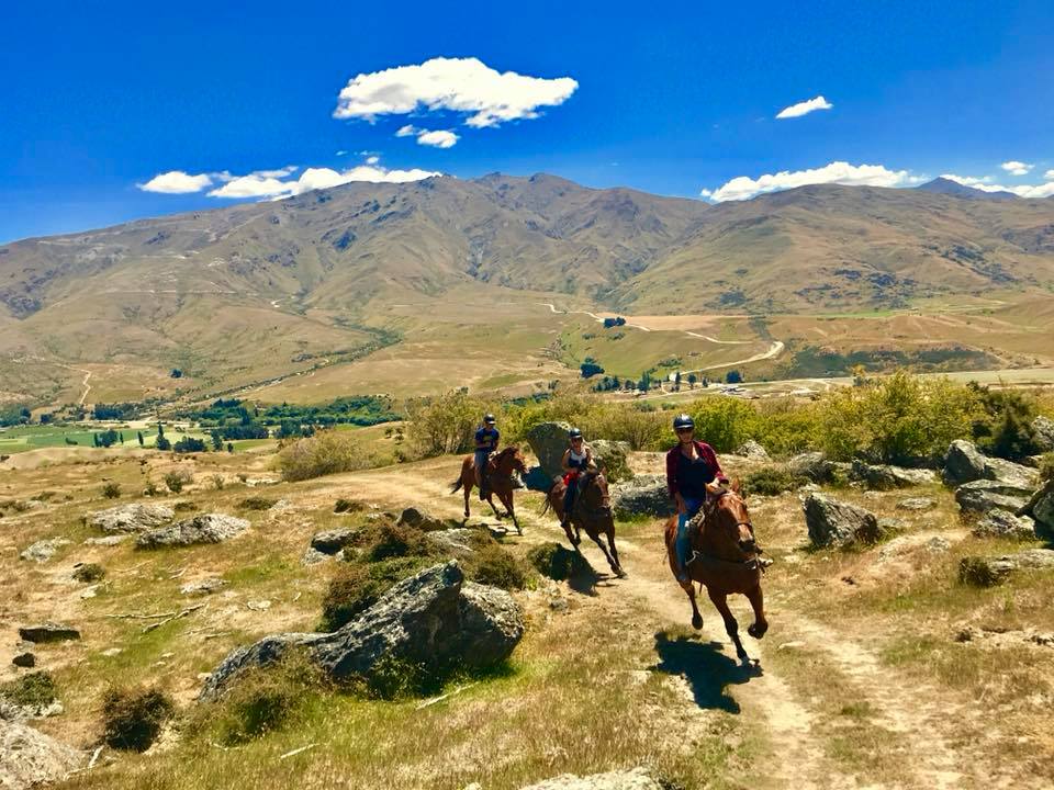Horse riding at Cardrona