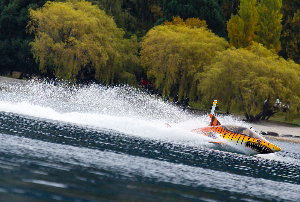 Queenstown Hydro Attack