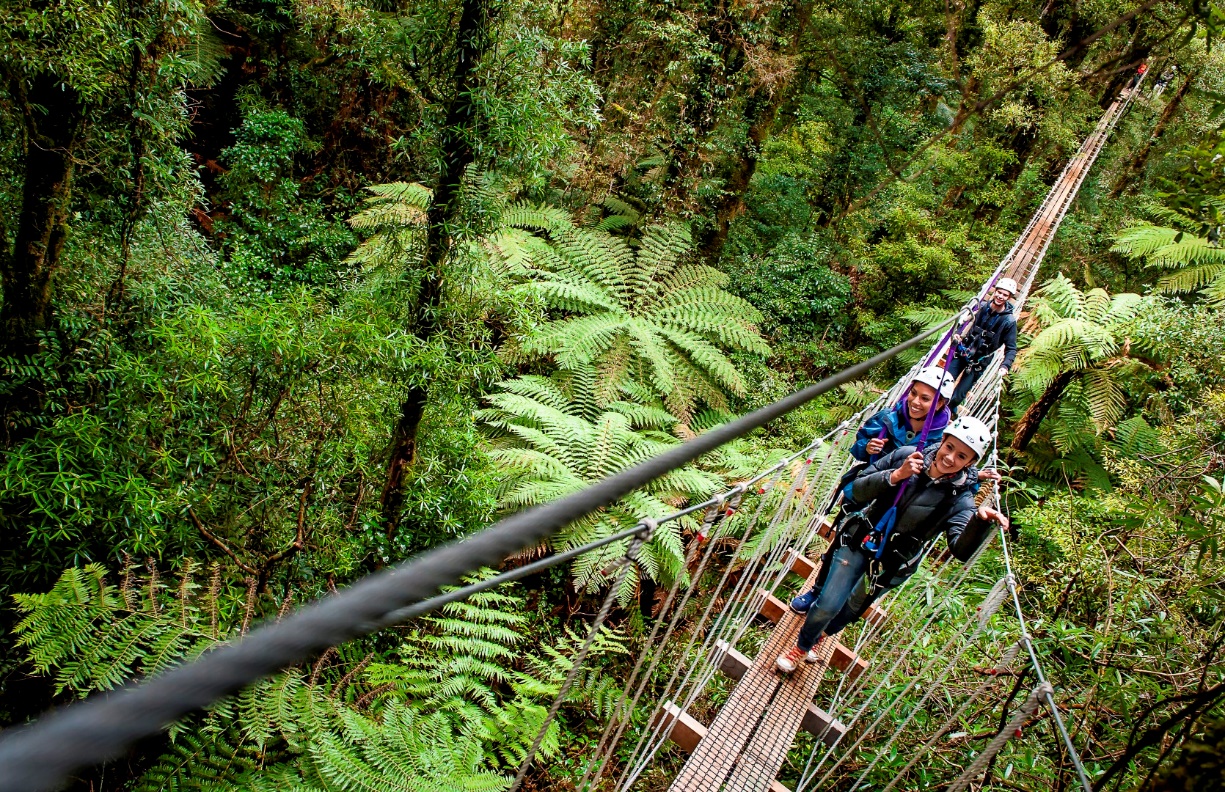 Rotorua Canopy Tours