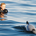 Swimming with dolphins2