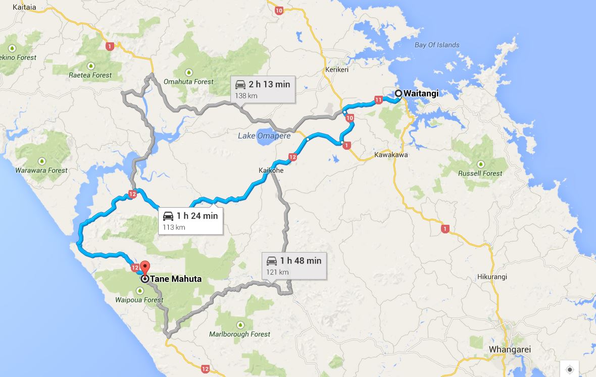 Waitangi to Tane Mahuta