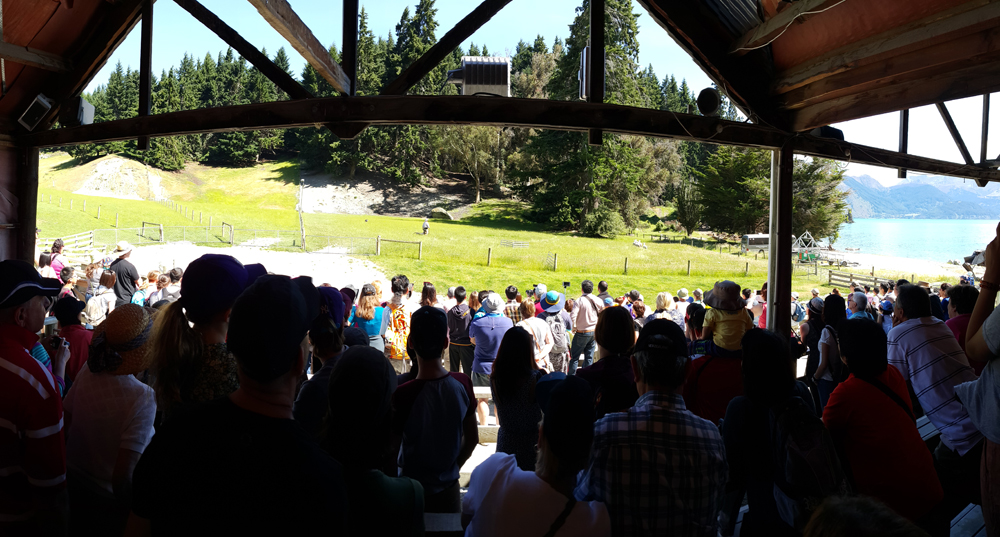 Walter Peak vintage farm tour