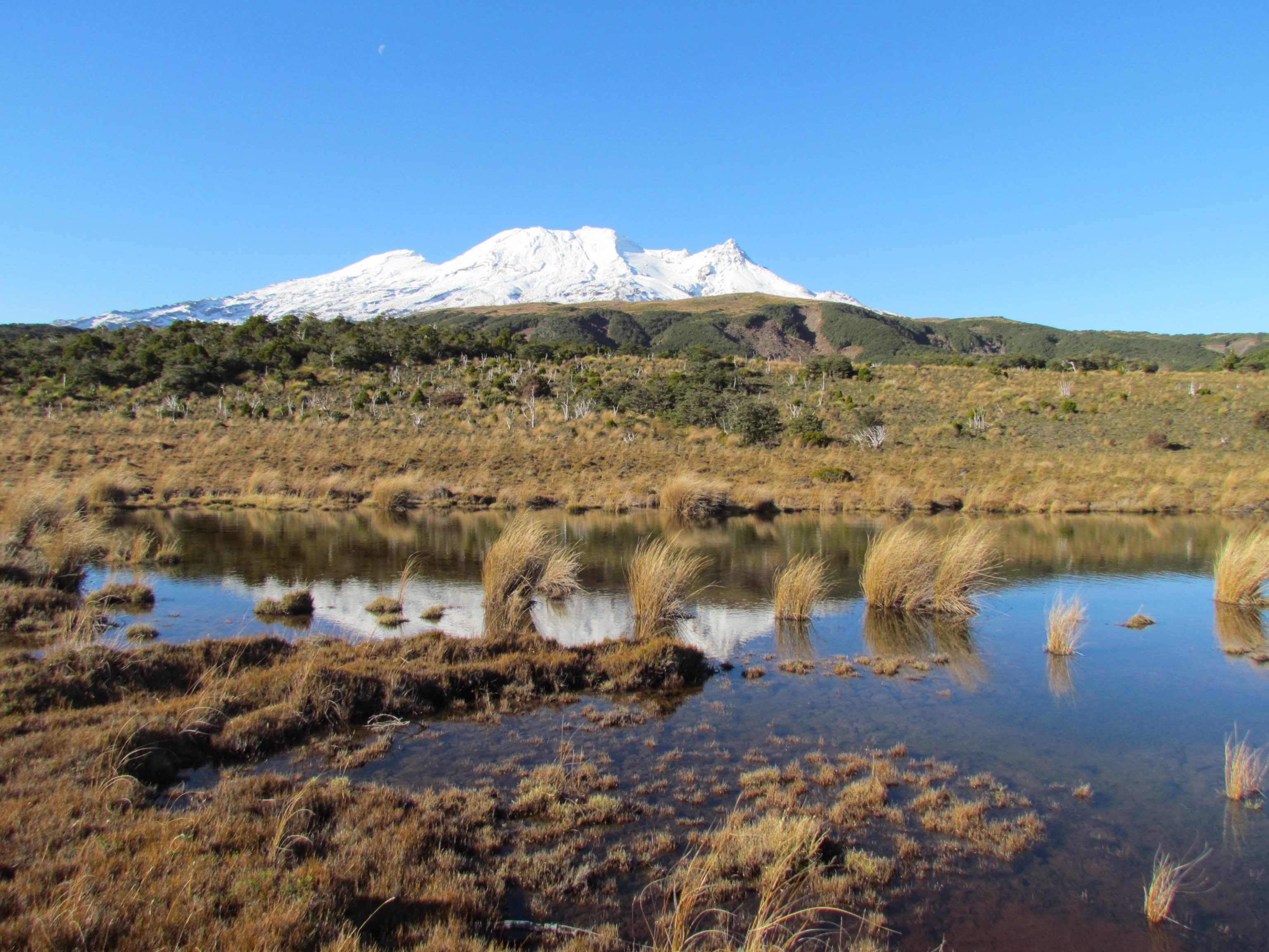 YHA Ohakune scenic 5 2013