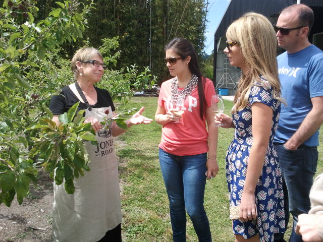 food and wine Matakana